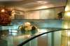 Best Western Zante Park Hotel 